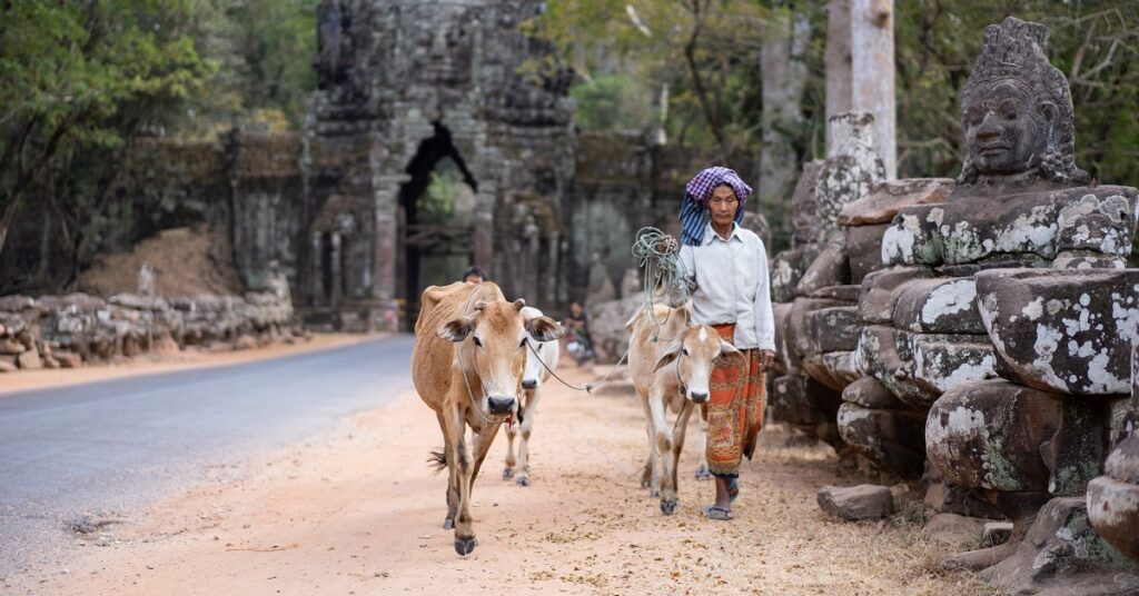 rabies vaccine for Cambodia