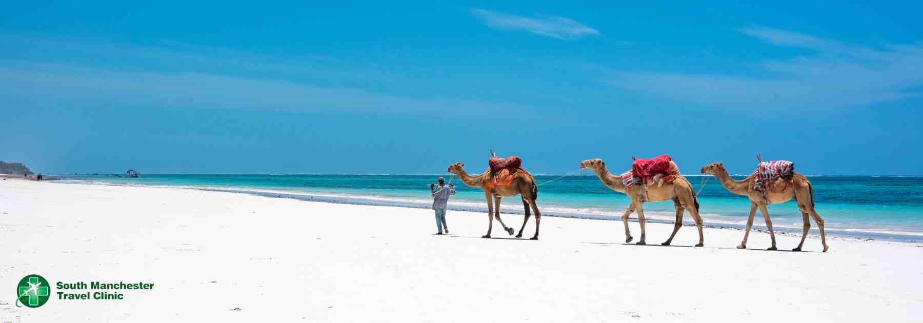 travel vaccines for kenya