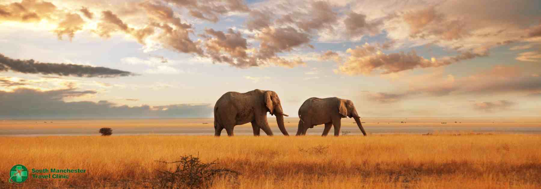 vaccinations for kenya